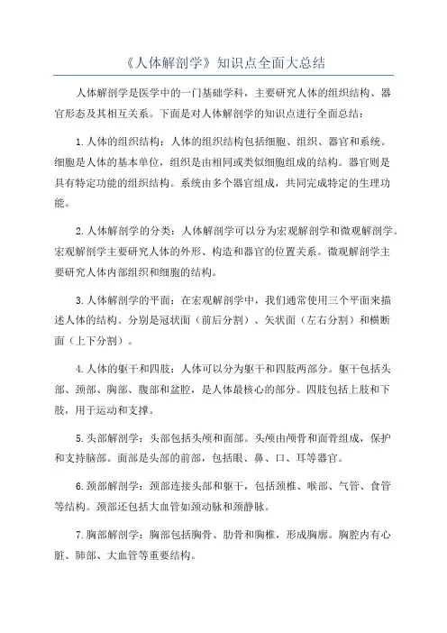 《人体解剖学》知识点全面大总结