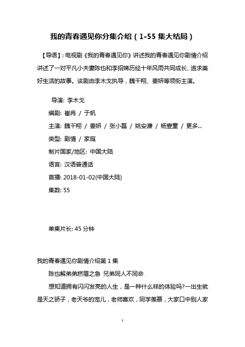 我的青春遇见你分集介绍(1-55集大结局)