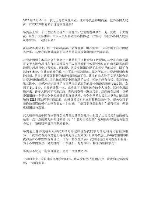 共筑冰雪梦一起向未来作文奋斗拼搏的精神