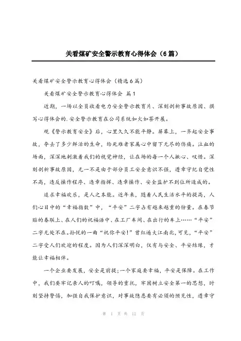 2024年关看煤矿安全警示教育心得体会(6篇)