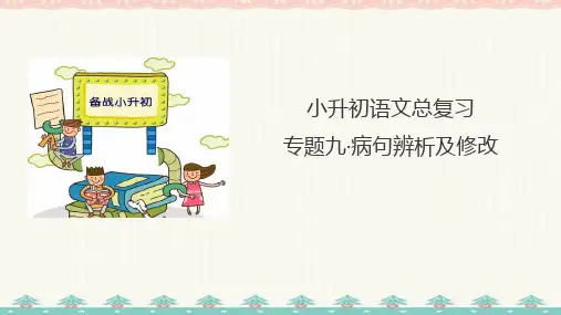 六年级小升初语文总复习 专题九·修改病句 课件-人教统编版 (共30张PPT)