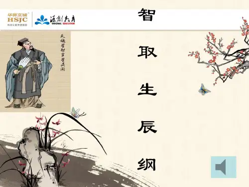 17智取生辰纲1精品PPT课件