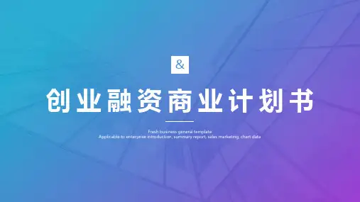 进口汽车商业计划书ppt