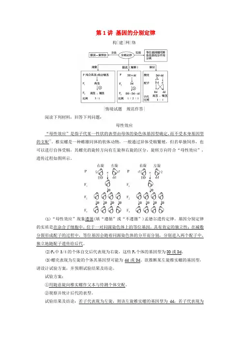 2025版高考生物一轮总复习素养提升必修2第5单元孟德尔定律和伴性遗传第1讲基因的分离定律