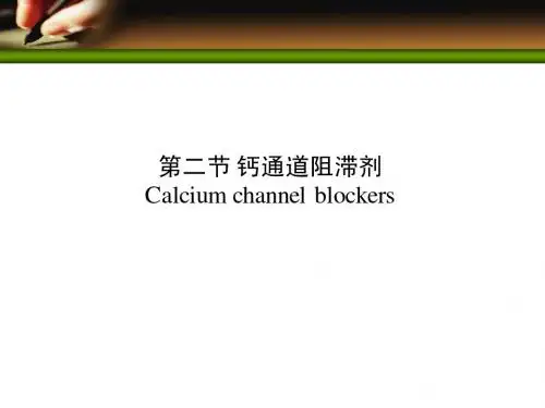 钙通道阻滞剂