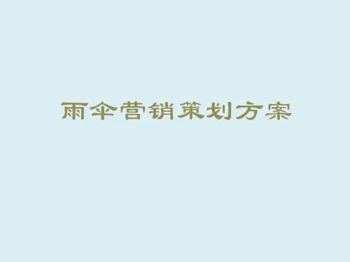 雨伞营销策划方案(PPT96页)