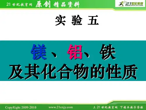 实验五镁、铝、铁及其化合物的性质课件