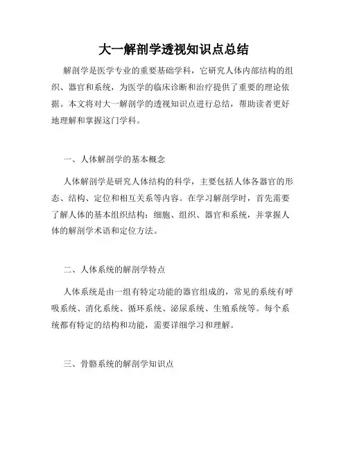 大一解剖学透视知识点总结