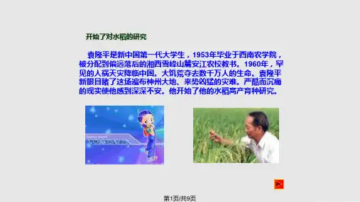 袁隆平人物简介PPT课件