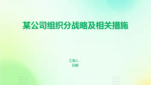 某公司组织分战略及相关措施