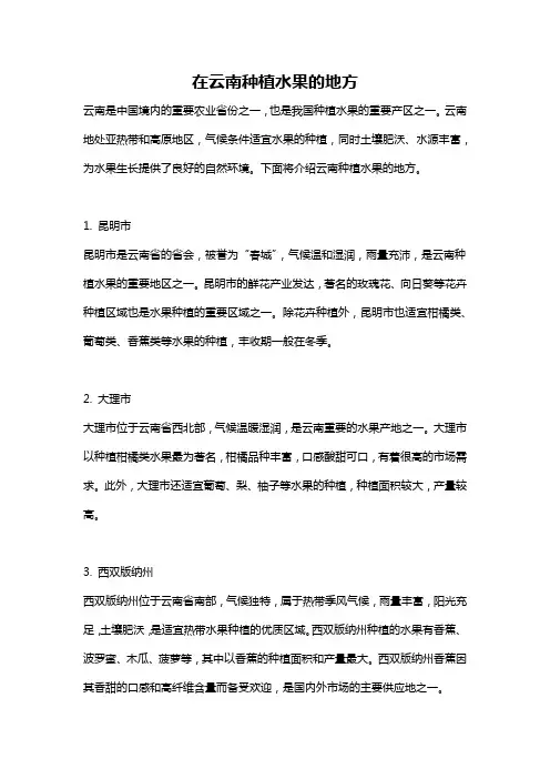 在云南种植水果的地方