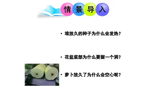 济南版生物七年级上册2.1.4绿色植物的呼吸作用(课件)