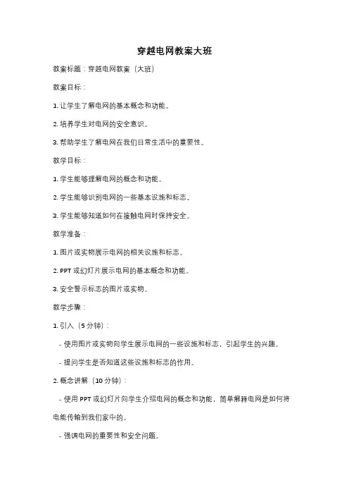 穿越电网教案大班