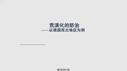 荒漠化防治人教必修三PPT课件