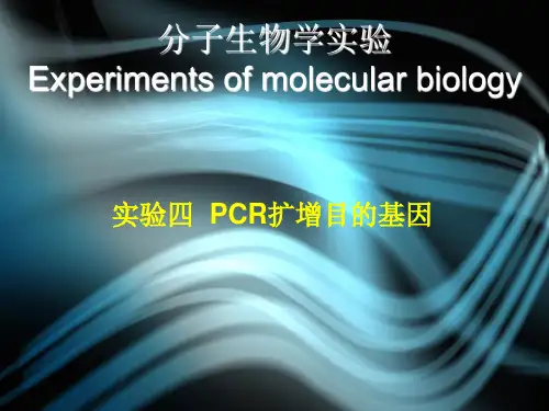 实验四  PCR扩增目的基因