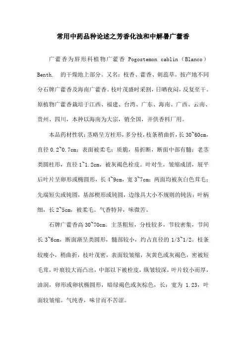 常用中药品种论述之芳香化浊和中解暑广藿香