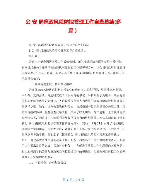 公安局廉政风险防控管理工作自查总结(精品多篇)