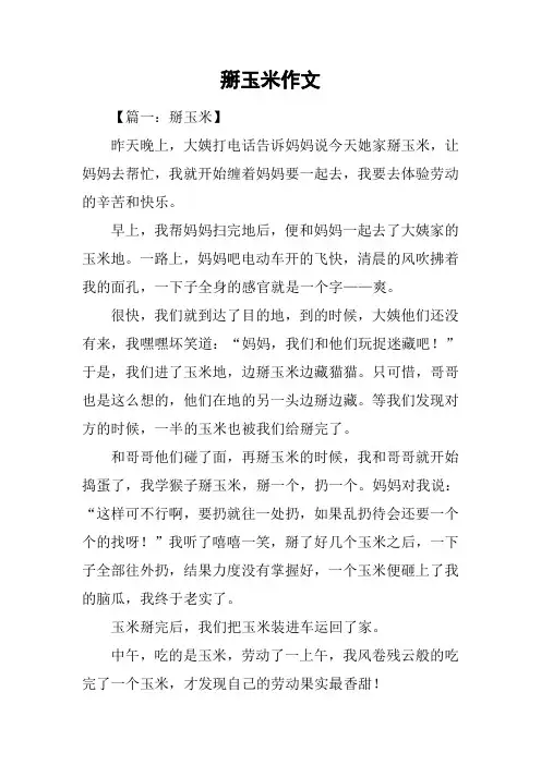 掰玉米作文