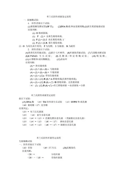 细菌鉴定流程