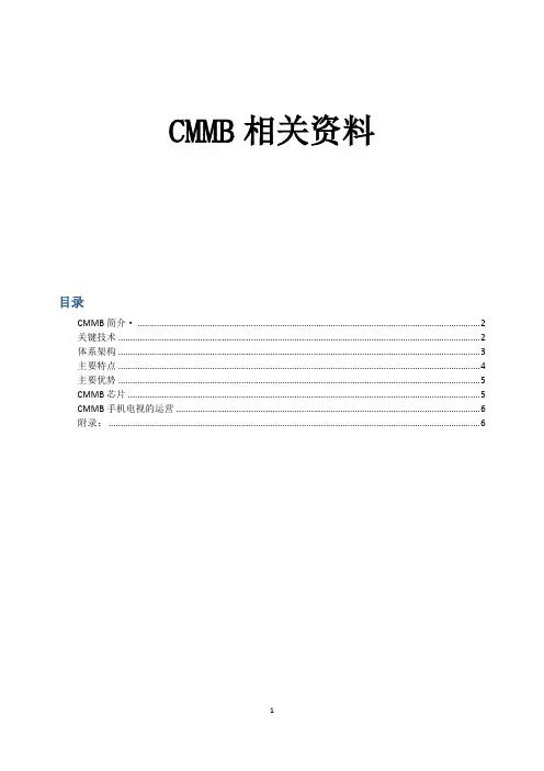 CMMB相关资料