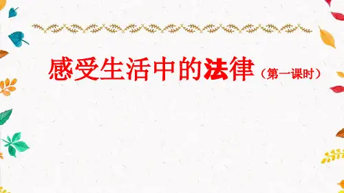 部编版小学道德与法治六年级上册1《感受生活中的法律》课件