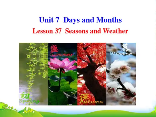 冀教七年级英语上册 Unit 7 Lesson 37 课件(共17张PPT)