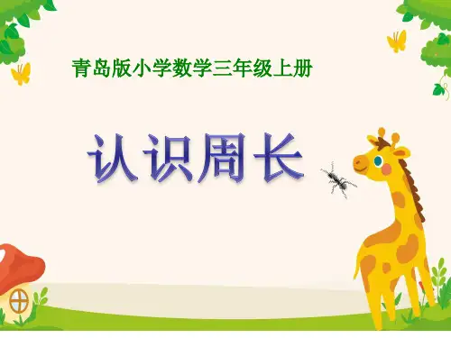 三年级上册数学青岛版八 认识周长 课件(共19张PPT)