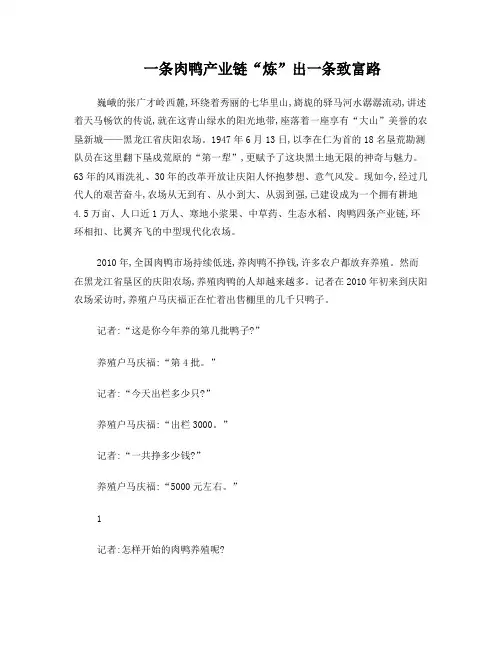 一条肉鸭产业链“炼”出一条致富路