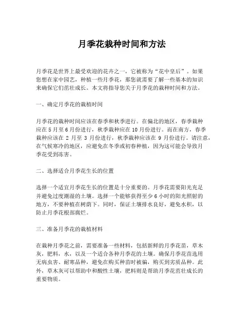 月季花栽种时间和方法