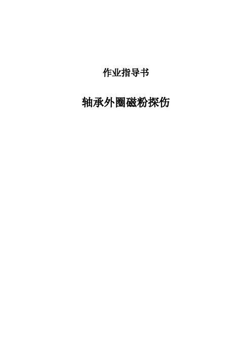 TS05轴承外圈探伤作业指导书