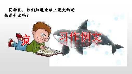 五年级语文上册-  习作例文 ：鲸 -人教(部编版)