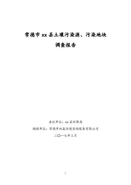 土壤污染源、污染地块调查报告
