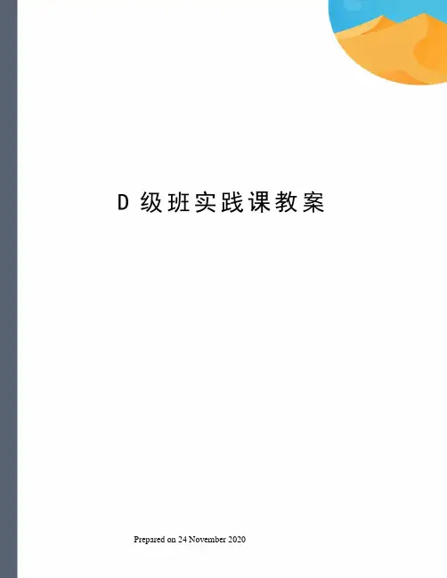D级班实践课教案