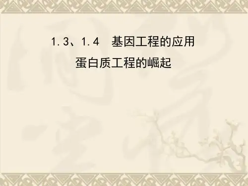 高三生物一轮复习 专题3.1.3-1.4基因工程的应用同步课件 新人教版