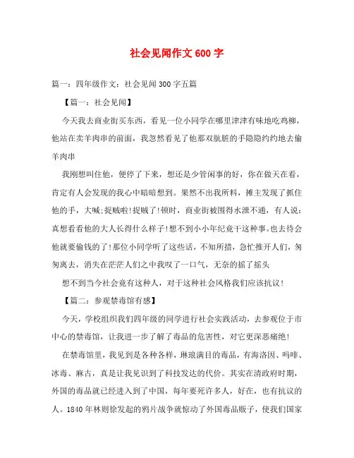 社会见闻作文600字