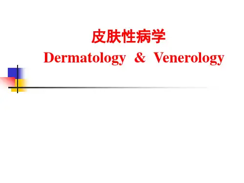 皮肤性病学总论--精品医学课件