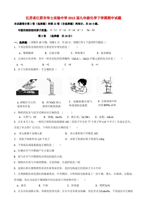 江苏省江阴市华士实验中学九年级化学下学期期中试题