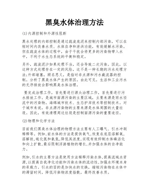 黑臭水体治理方法
