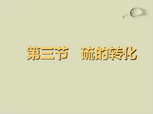 鲁科版硫的转化完美课件1