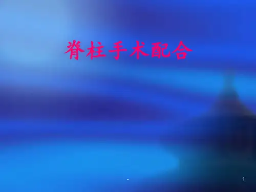 脊柱手术简介PPT课件