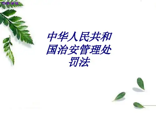 中华人民共和国治安管理处罚法专题培训课件