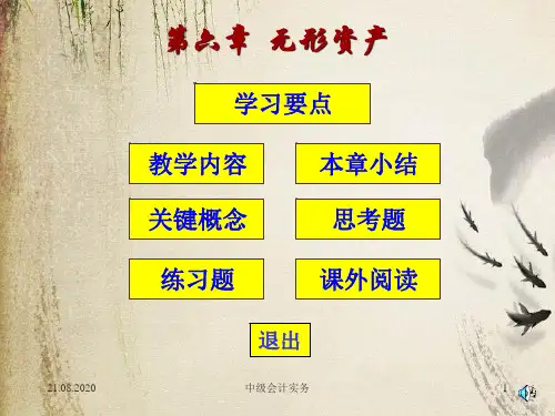 无形资产的后续计量、处置和报废(ppt 24页)