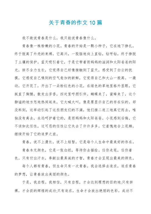 关于青春的作文10篇