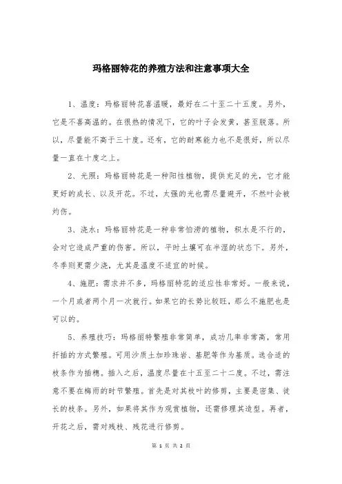 玛格丽特花的养殖方法和注意事项大全