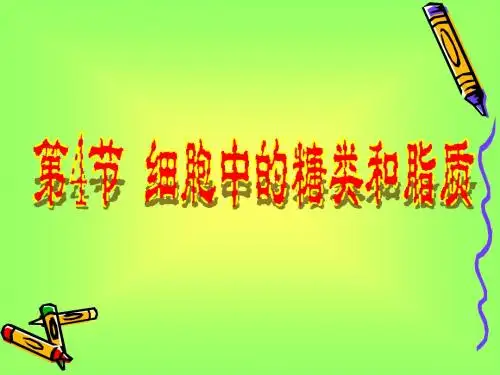 人教版高中生物必修一课件 第二章第四节：细胞中的糖类和脂质(共33张PPT)