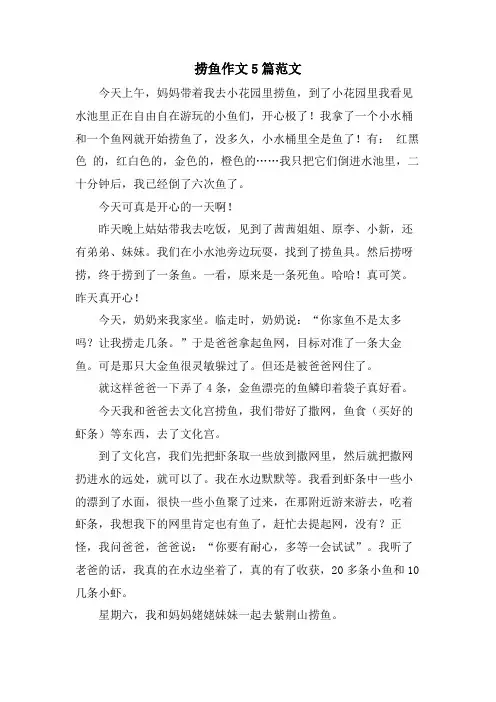捞鱼作文5篇范文