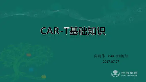 CAR-T基础知识ppt课件