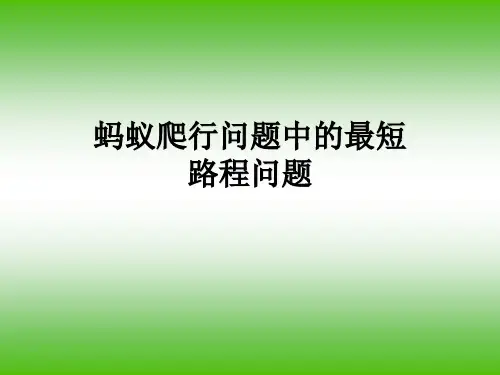 蚂蚁爬行问题中的最短路程问题