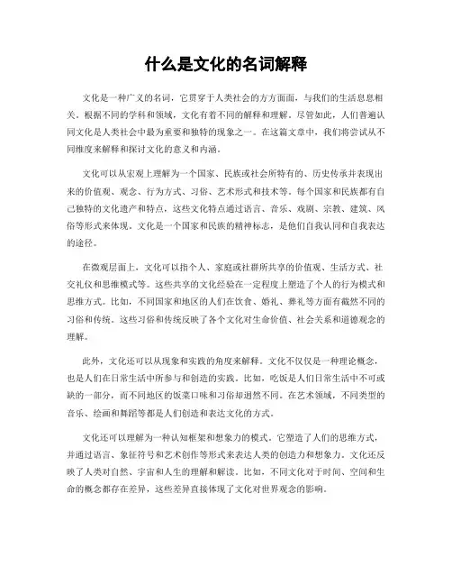 什么是文化的名词解释