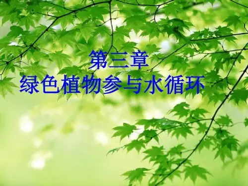 北师大版七年级生物上册课件5.4蒸腾作用共15张PPT